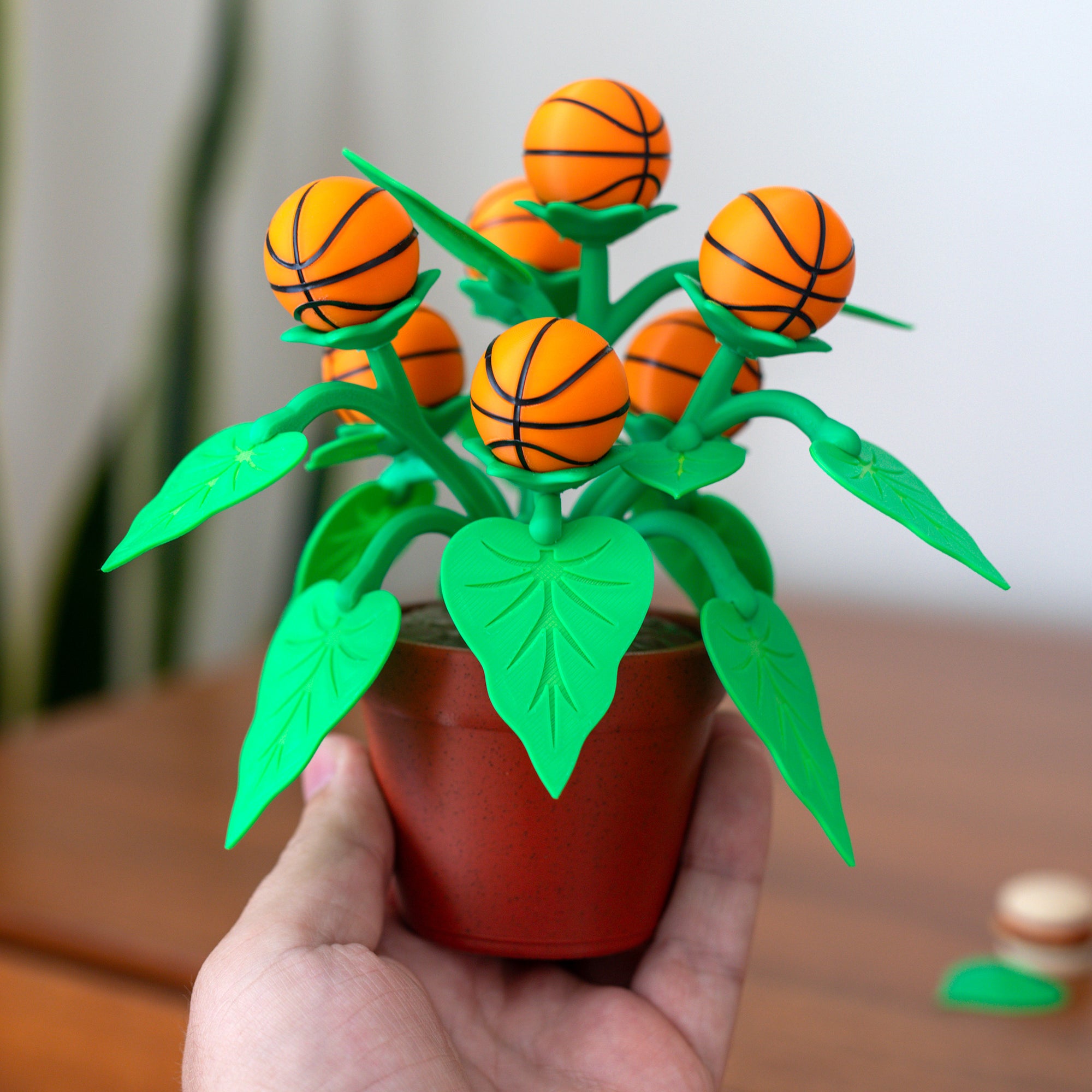 Basketball Plant