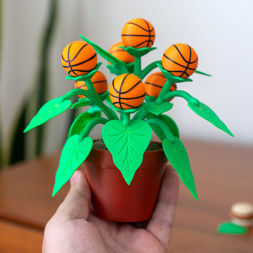 Basketball Plant