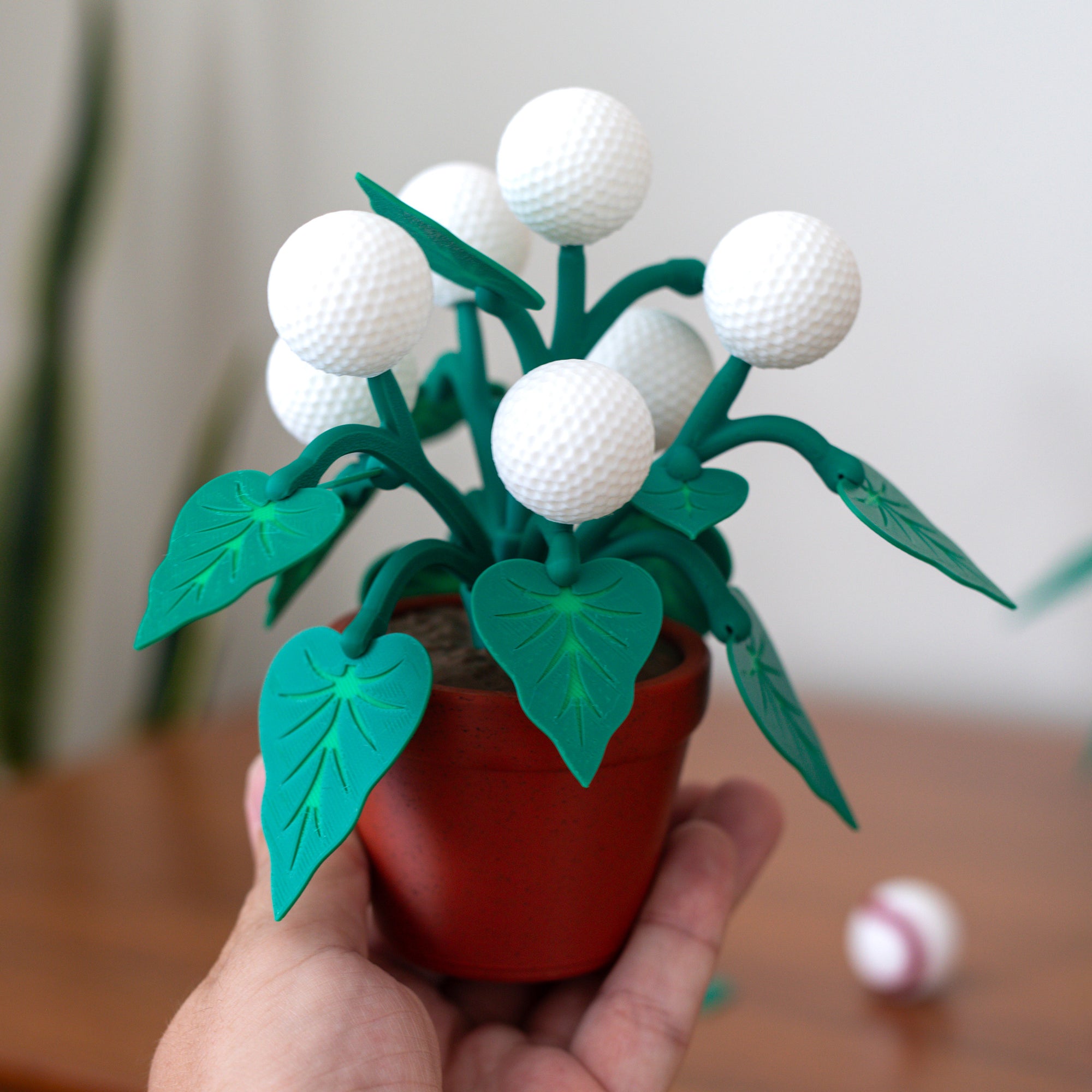 Golf Plant