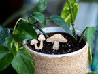 Plant Decor Markers Vol 1 (10 designs)