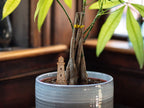 Plant Decor Markers Vol 3 (10 designs)