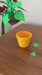 Watermelon Plant