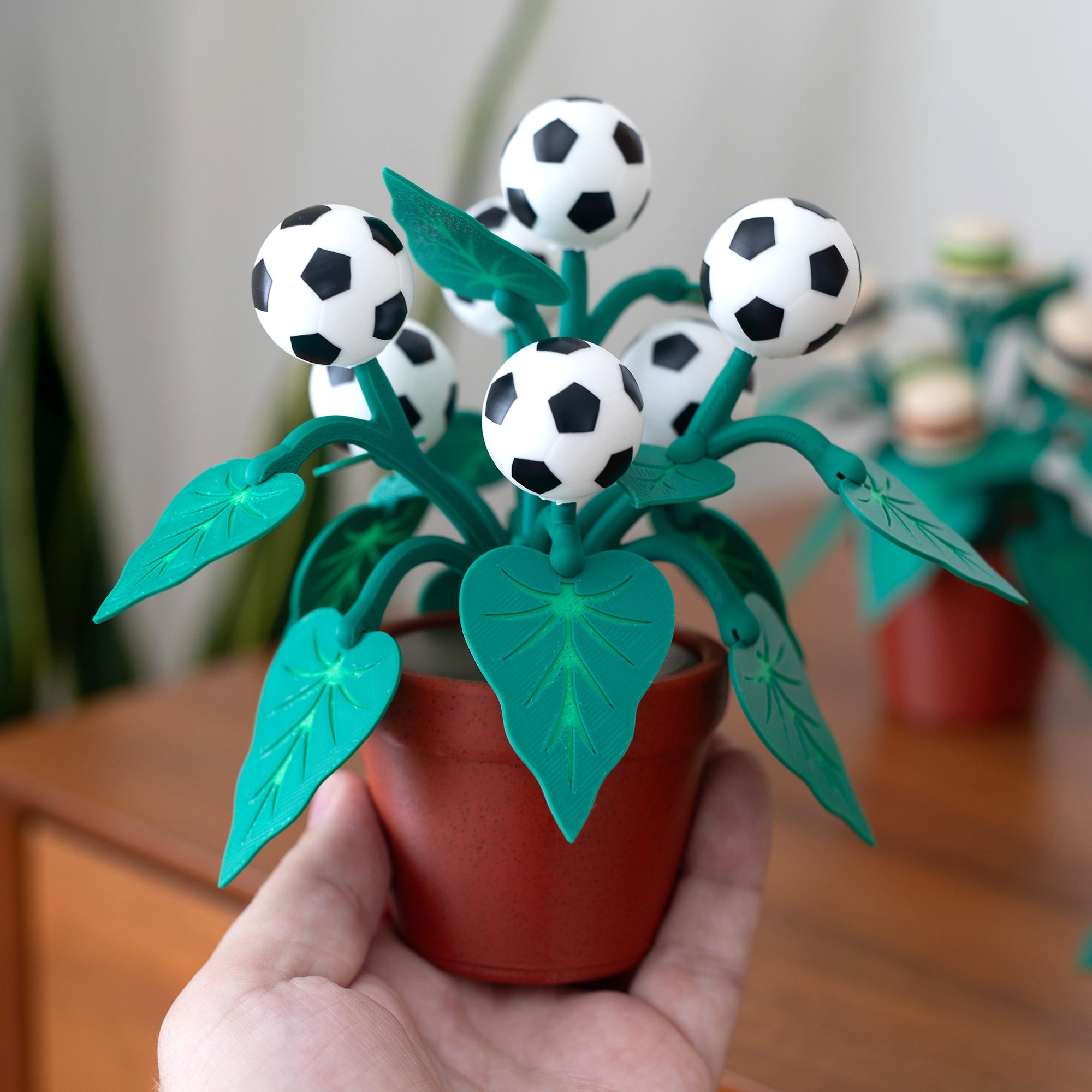 Soccer Plant